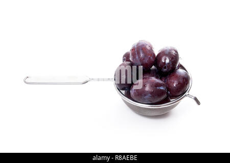 Stahl mit Fettaufsaugendem Süsse saftige Pflaumen auf einem weißen Hintergrund. Stockfoto