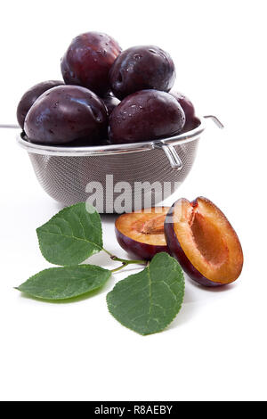 Stahl mit Fettaufsaugendem Süsse saftige Pflaumen, ganze und halbe reife Pflaumen mit Blatt vor dem Sieb auf einem weißen Hintergrund. Stockfoto