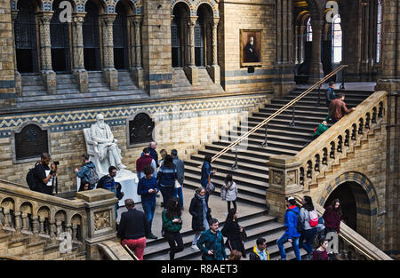 Charles Darwin Skulptur von Sir Joseph Boehm, Hintze Hall, Natural History Museum, South Kensington, London, Vereinigtes Königreich Stockfoto