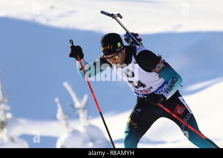 Biathlonzentrum, Hochfilzen, Österreich. 14 Dez, 2018. IBU Biathlon Weltcup Hochfilzen; Martin Fourcade (FRA) Credit: Aktion plus Sport/Alamy leben Nachrichten Stockfoto