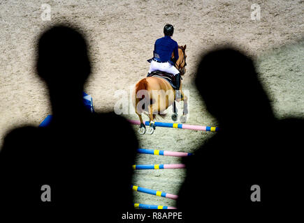 Prag, Tschechische Republik. 14 Dez, 2018. Eine begleitende Rennen der Global Champions League Springreiten, in Prag, Tschechische Republik, am 14. Dezember 2018. Credit: Roman Vondrous/CTK Photo/Alamy leben Nachrichten Stockfoto