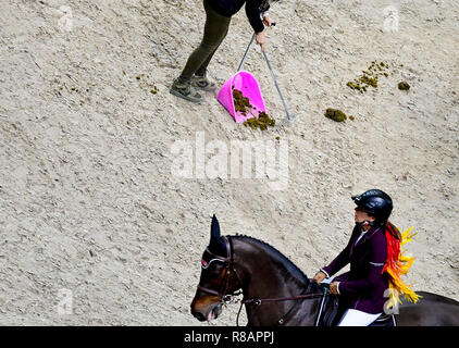 Prag, Tschechische Republik. 14 Dez, 2018. Eine begleitende Rennen der Global Champions League Springreiten, in Prag, Tschechische Republik, am 14. Dezember 2018. Credit: Roman Vondrous/CTK Photo/Alamy leben Nachrichten Stockfoto