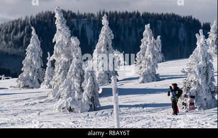 Feldberg im Schwarzwald, Deutschland. 15 Dez, 2018. Ein Skifahrer steht vor Schnee und eisige Bäume. Die ersten Aufzüge auf dem Feldberg im Schwarzwald eröffnet. Quelle: Patrick Seeger/dpa/Alamy leben Nachrichten Stockfoto