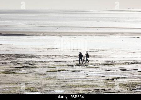 Cockle Picker bei Ebbe, Morecambe Bay, untere Holker, Cumbria, 2017. Schöpfer: Alun Bull. Stockfoto