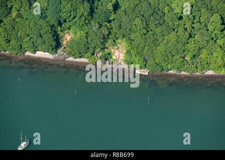 D-Day Landing Craft Wartung site auf dem Fluss Dart, Devon, 2014. Schöpfer: Historisches England Fotograf. Stockfoto