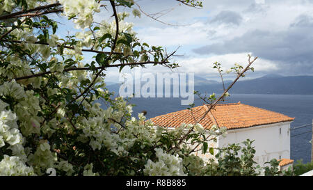 Ein weiterer perfekter Postkarte Erfahrung beim Besuch Hydra: Berge und Meer vor dem Hintergrund eines voll erblühte Bougainvillea Pflanze gesehen. Stockfoto