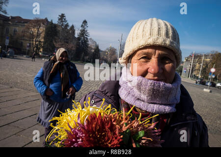 Bulgarien, Sofia, Hausierer Stockfoto