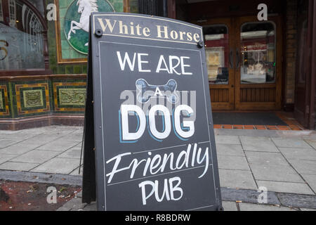 Hund, Hunde, okay, freundlich, Pub, Bar, Öffentliche Haus, weißes Pferd, in, Mitte, der, Aberystwyth, Stadt, Ceredigion, Küste, der Küste und in der Cardigan Bay, Wales, Welsh, Stockfoto