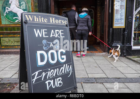 Hund, Hunde, okay, freundlich, Pub, Bar, Öffentliche Haus, weißes Pferd, in, Mitte, der, Aberystwyth, Stadt, Ceredigion, Küste, der Küste und in der Cardigan Bay, Wales, Welsh, Stockfoto