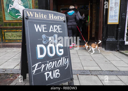 Hund, Hunde, okay, freundlich, Pub, Bar, Öffentliche Haus, weißes Pferd, in, Mitte, der, Aberystwyth, Stadt, Ceredigion, Küste, der Küste und in der Cardigan Bay, Wales, Welsh, Stockfoto