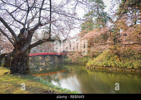 Kirschblüten an der Hirosaki Schlosspark in Hirosaki, Aomori, Japan Stockfoto