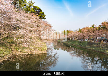 Kirschblüten an der Hirosaki Schlosspark in Hirosaki, Aomori, Japan Stockfoto