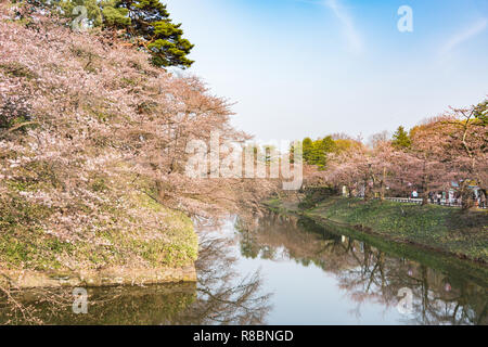 Kirschblüten an der Hirosaki Schlosspark in Hirosaki, Aomori, Japan Stockfoto