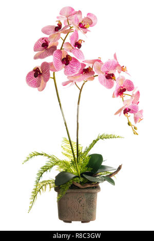 Blumenarrangement aus künstlichen Orchidee blüht in alten Keramik Blumentopf isoliert auf weißem Hintergrund. Stockfoto