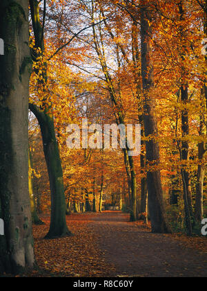 Herbst im Park, saisonale Konzept Bild mit einem Weg Stockfoto