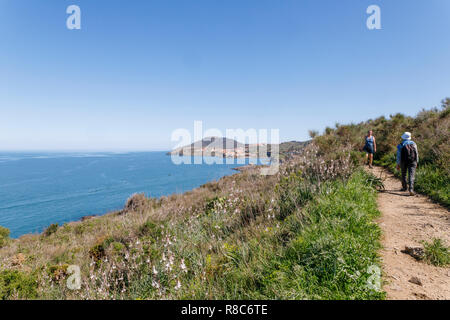 Frankreich, Pyrenees Orientales, Cote Vermeille, Collioure, littoral Pfad und Port Vendres im Hintergrund // Frankreich, Pyrénées-Orientales (66), Côte Ver Stockfoto