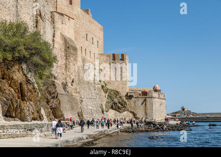 Frankreich, Pyrenees Orientales, Cote Vermeille, Collioure, Königliches Schloss // Frankreich, Pyrénées-Orientales (66), Côte Vermeille, Collioure, Château Royal Stockfoto