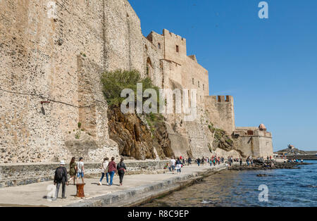 Frankreich, Pyrenees Orientales, Cote Vermeille, Collioure, Königliches Schloss // Frankreich, Pyrénées-Orientales (66), Côte Vermeille, Collioure, Château Royal Stockfoto