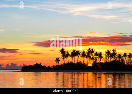 Dunkle Silhouetten von Palmen und erstaunlich bewölkten Himmel bei Sonnenuntergang im tropischen Insel im Indischen Ozean Stockfoto