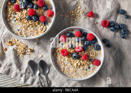 Gesunde hausgemachtem Müsli Frühstück Müsli mit Milch und Beeren Stockfoto