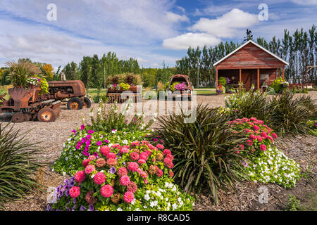 Das Parkside Pionier Patch florale Ausstellung in Winkler, Manitoba, Kanada. Stockfoto