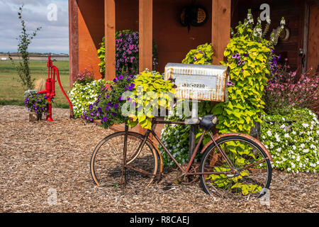 Das Parkside Pionier Patch florale Ausstellung in Winkler, Manitoba, Kanada. Stockfoto