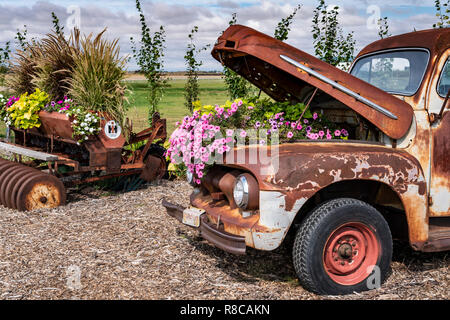 Das Parkside Pionier Patch florale Ausstellung in Winkler, Manitoba, Kanada. Stockfoto