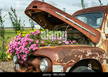 Das Parkside Pionier Patch florale Ausstellung in Winkler, Manitoba, Kanada. Stockfoto