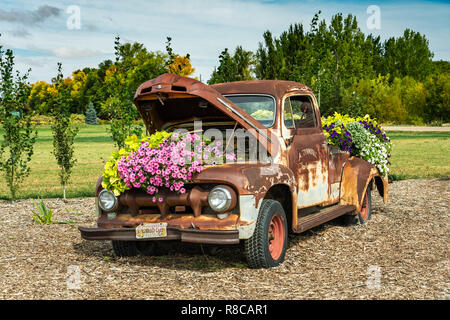 Das Parkside Pionier Patch florale Ausstellung in Winkler, Manitoba, Kanada. Stockfoto