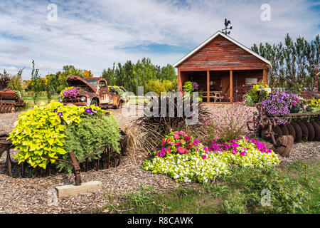 Das Parkside Pionier Patch florale Ausstellung in Winkler, Manitoba, Kanada. Stockfoto