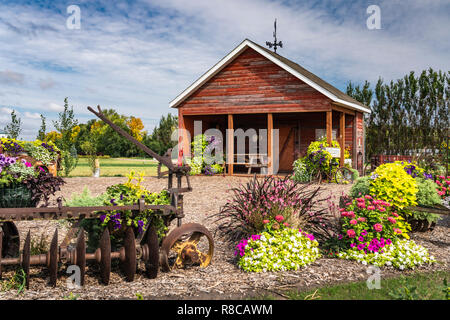 Das Parkside Pionier Patch florale Ausstellung in Winkler, Manitoba, Kanada. Stockfoto