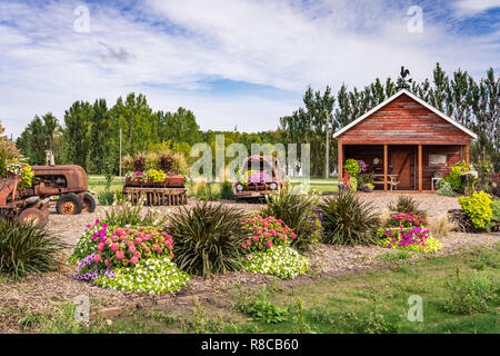 Das Parkside Pionier Patch florale Ausstellung in Winkler, Manitoba, Kanada. Stockfoto