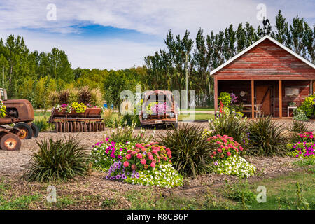 Das Parkside Pionier Patch florale Ausstellung in Winkler, Manitoba, Kanada. Stockfoto