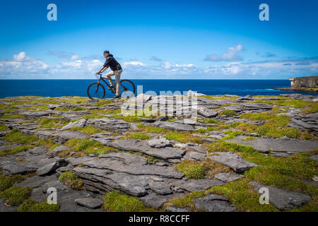 An den Klippen von Inishmore, Aran Island, Irland Stockfoto