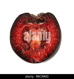 Aronia (apfelbeere) Frucht halbieren, auf weißem Hintergrund. Nahaufnahme Detail. Stockfoto