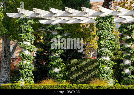 Pergola, Rosengarten, Retiro Park, Parque del Retiro, Madrid, Spanien Stockfoto