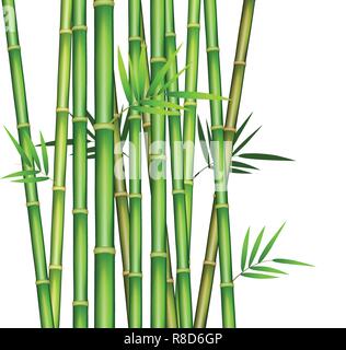 Bambus stammt im flachen Design Illustration. Stock Vektor