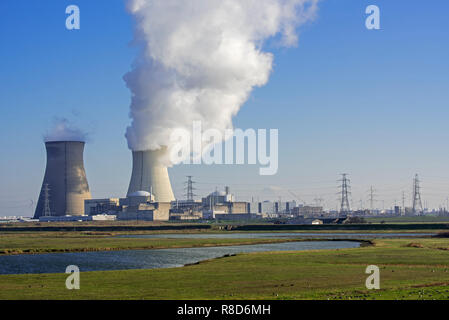 Gänse am Naturschutzgebiet Prosperpolder und die doel Atomkraftwerk/Kernkraftwerk in der Antwerpener Hafen, Flandern, Belgien Stockfoto