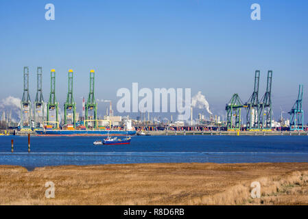 Hafenkrane und Container schiff angedockt in der Antwerpener Hafen / Hafen, Flandern, Belgien Stockfoto