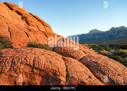 Red Rock Canyon, Nevada Stockfoto
