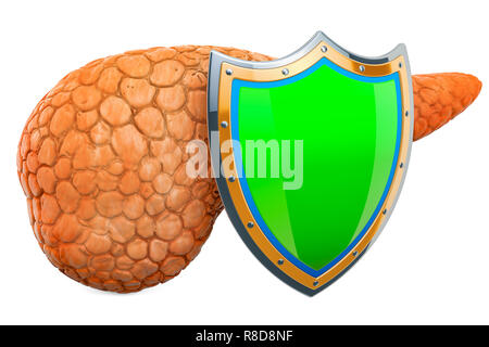 Die menschliche Bauchspeicheldrüse mit Schild, Konzept schützen. 3D-Rendering auf weißem Hintergrund Stockfoto