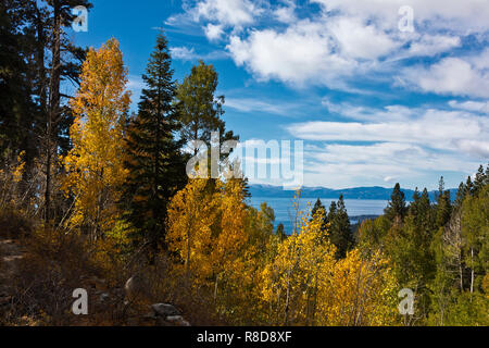 Herbst Farben in die Sierra Nevadas in der Nähe von Lake Tahoe - Kalifornien Stockfoto