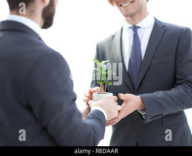 Geschäftspartner halten einen Setzling Stockfoto