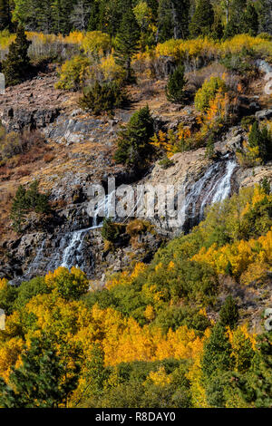 ASPEN Bäume biegen Sie Farben bei LUNDY CREEK FALLS in der östlichen Sierra - Kalifornien Stockfoto