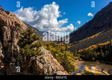 Espen biegen Sie Farben in LUNDY CANYON in der östlichen Sierra - Kalifornien Stockfoto