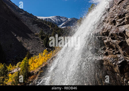 ASPEN Bäume biegen Sie Farben bei LUNDY CREEK FALLS in der östlichen Sierra - Kalifornien Stockfoto