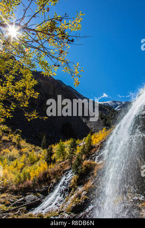 ASPEN Bäume biegen Sie Farben bei LUNDY CREEK FALLS in der östlichen Sierra - Kalifornien Stockfoto