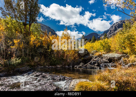 Espen zeigen Ihre fallen Farben rund um LUNDY CREEK in der östlichen Sierra - Kalifornien Stockfoto