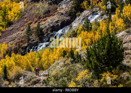 Lundy Creek in Lundy Canyon im Herbst Farben, Ostern Sierra von Kalifornien Stockfoto