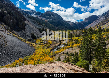 Espen biegen Sie Farben in LUNDY CANYON in der östlichen Sierra - Kalifornien Stockfoto